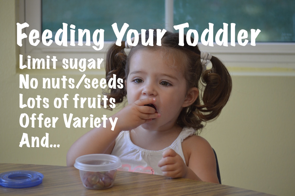 Feeding Your 1224 Months old Toddler Halsey Schools Preschool & Infant Center