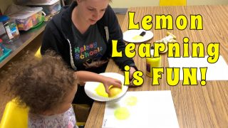Learning with Lemons