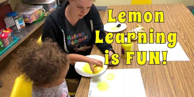 Learning with Lemons
