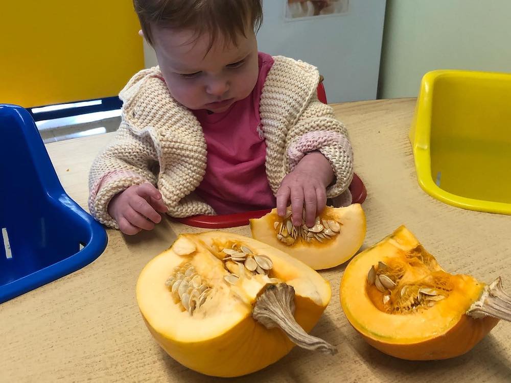 Explore pumpkins with your children